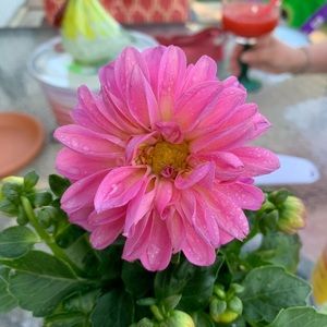 Meet your Posher, Gabrielle